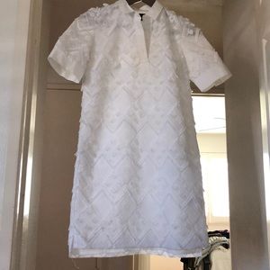 Cute polo dress with lace eyelet pattern